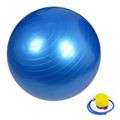 Fitness Ball with Pump