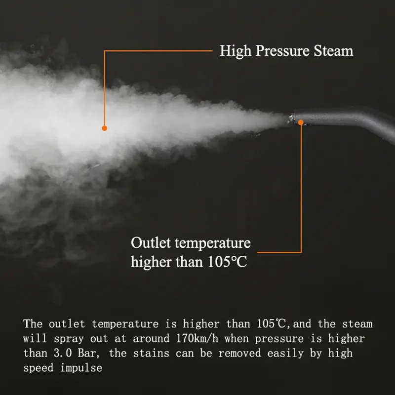PORTABLE STEAM CLEANER  TYPE-1