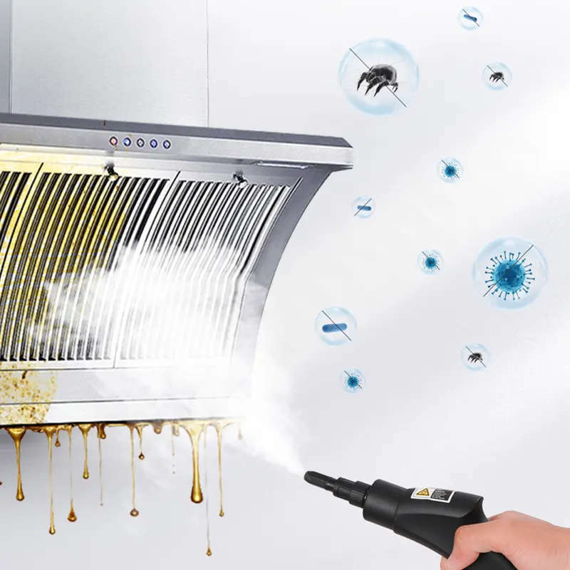 PORTABLE STEAM CLEANER  TYPE-1