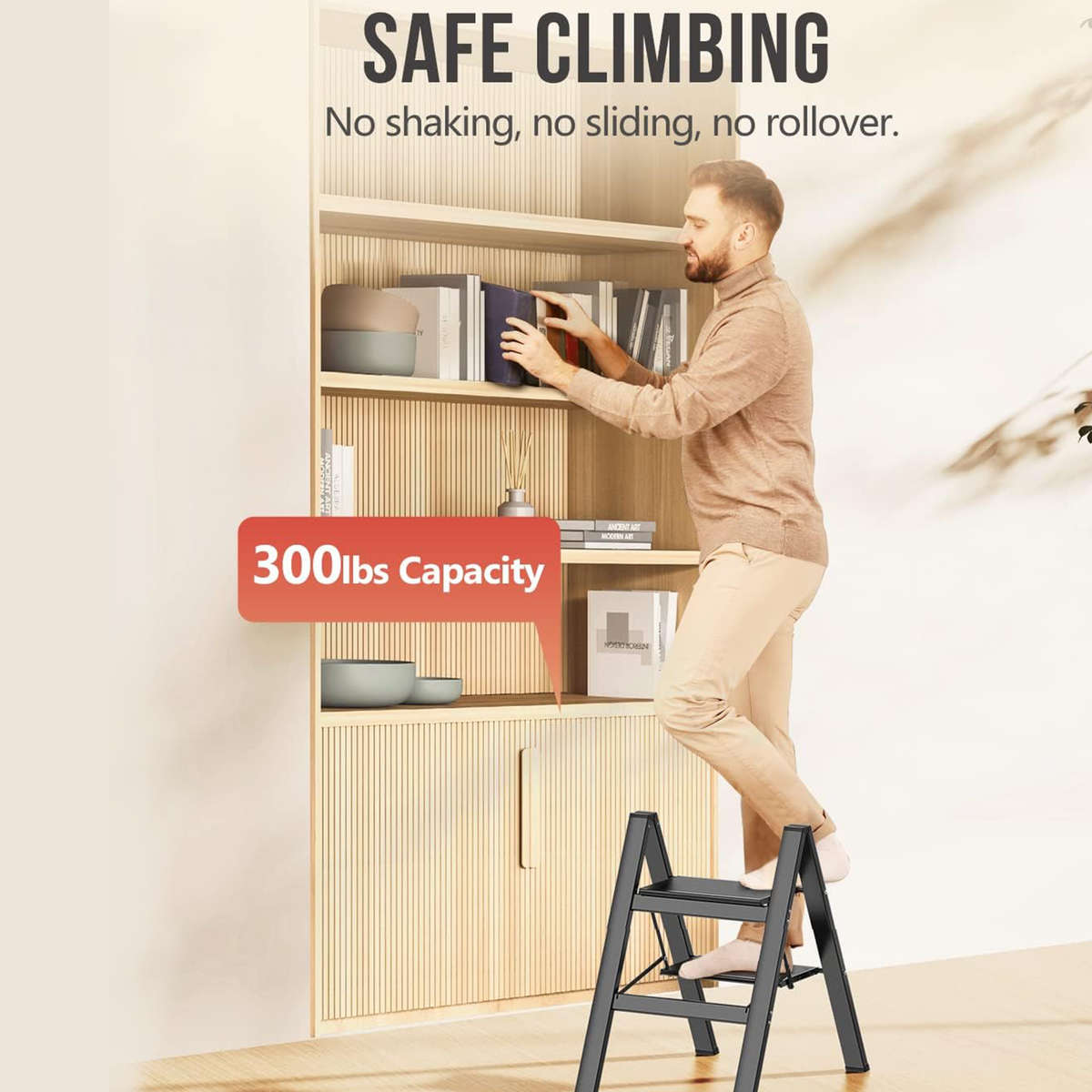 2-Step Folding Ladder