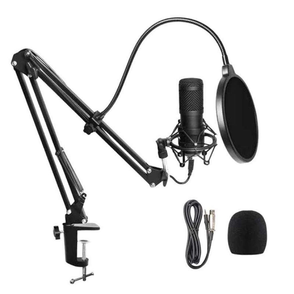 Professional Recording Microphone Stand - Complete Set