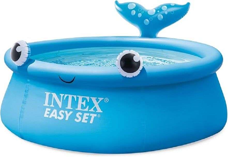 Intex Jolly Whale Easy Set Pool