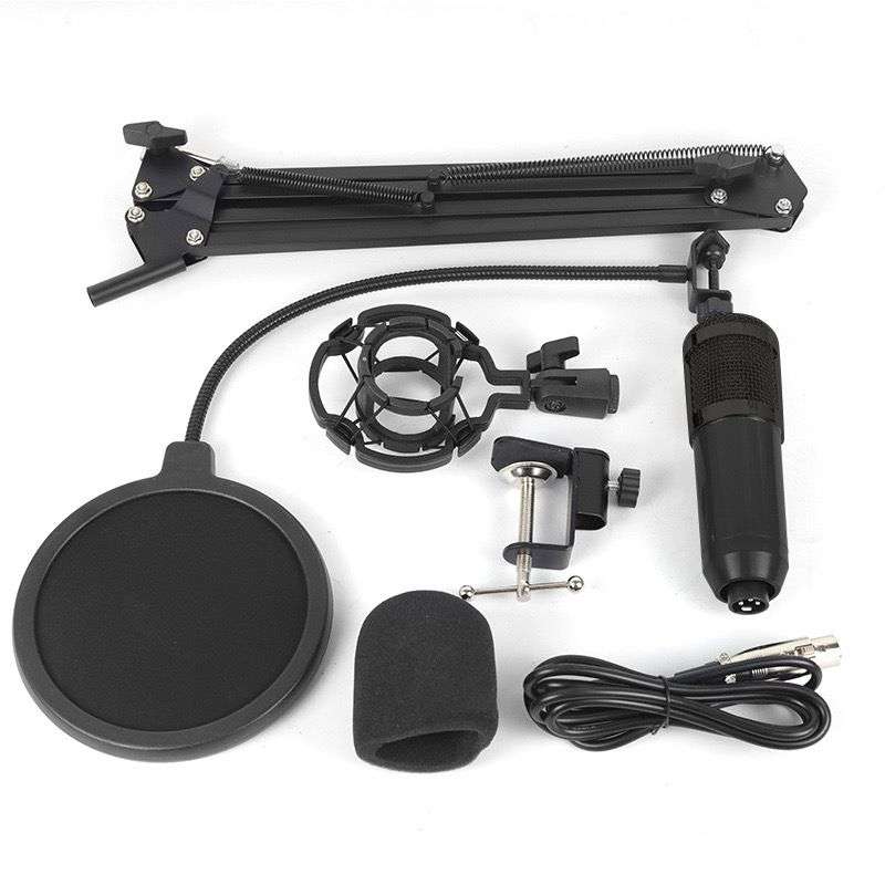 Professional Recording Microphone Stand - Complete Set