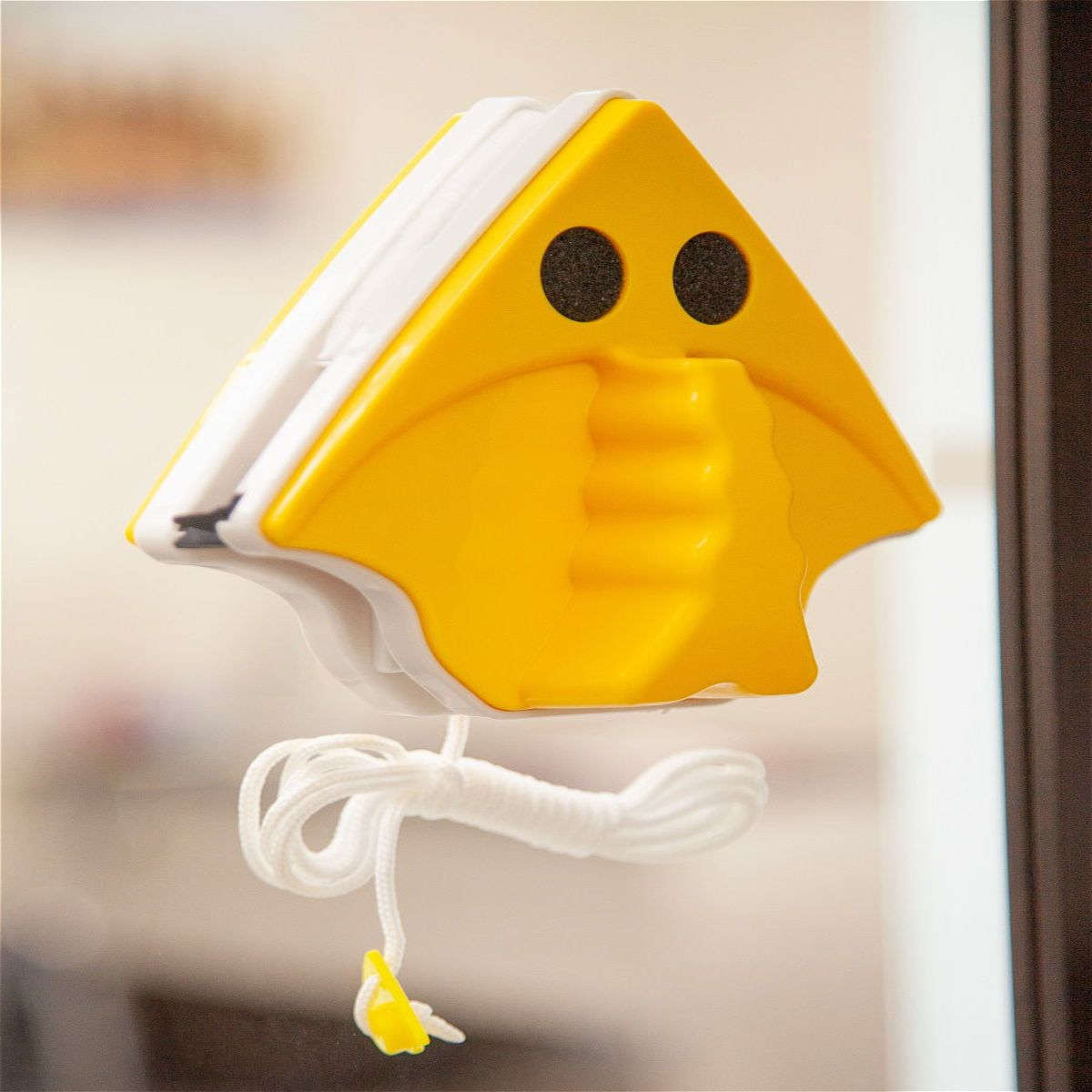 Double-Sided Glass Cleaner