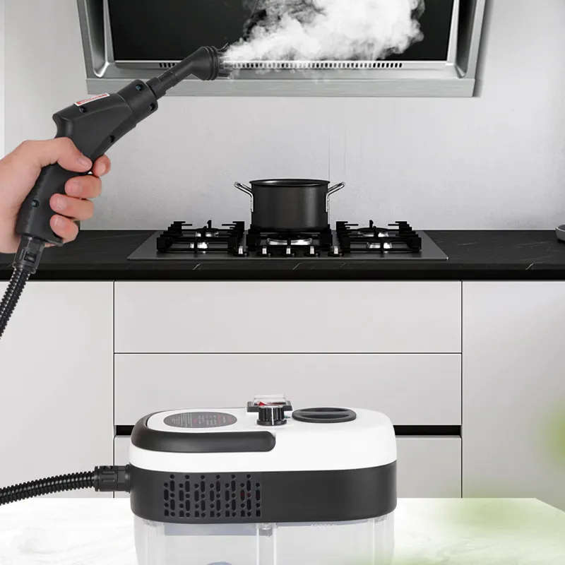 PORTABLE STEAM CLEANER  TYPE-1