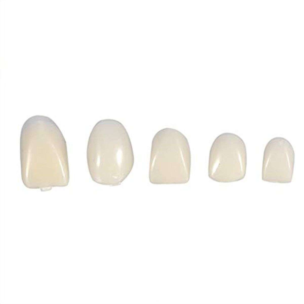 Temporary crowns, Teeth veneers, Anterior for front teeth