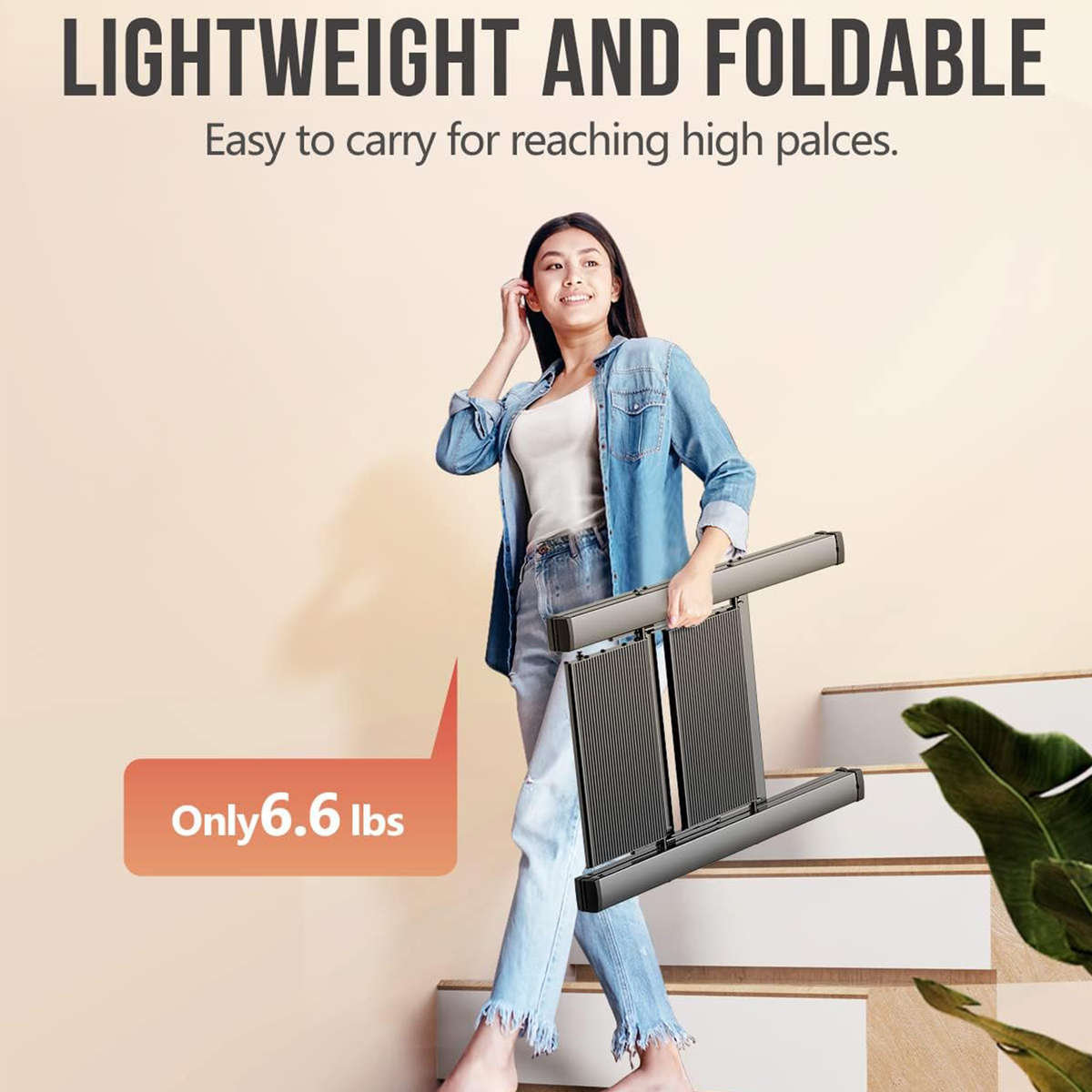 2-Step Folding Ladder