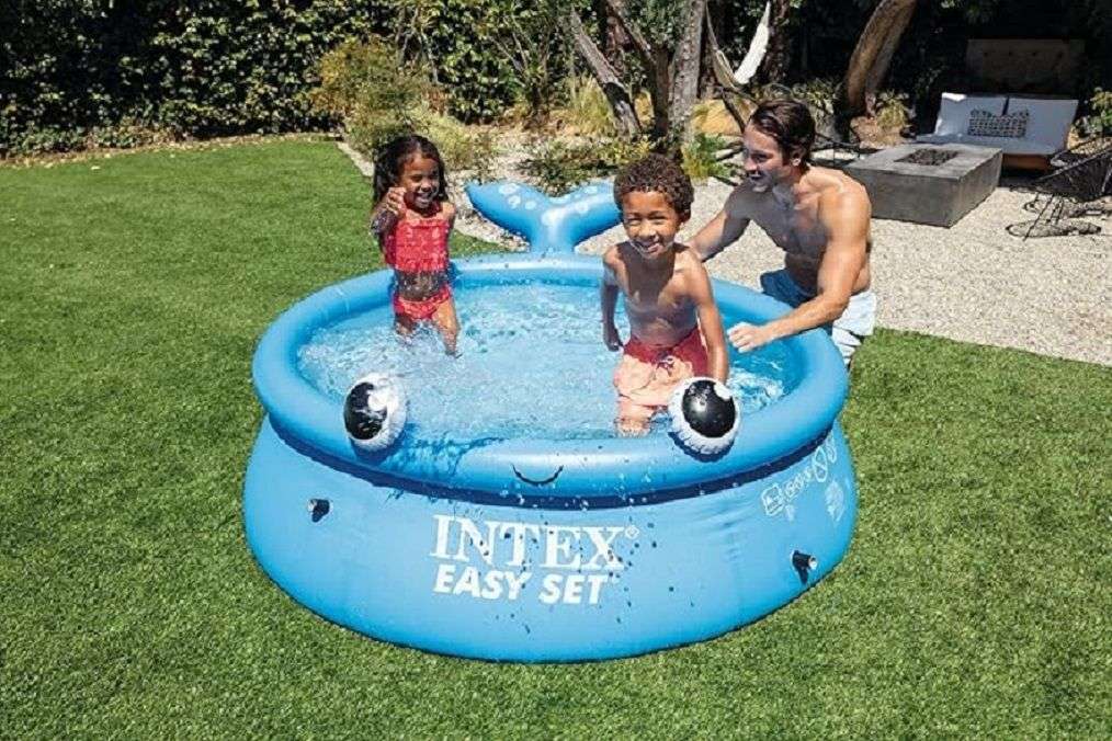 Intex Jolly Whale Easy Set Pool