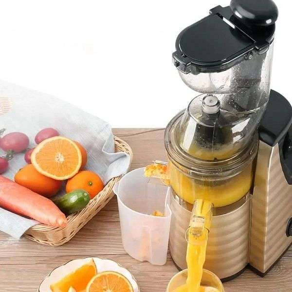 RAF Stainless Steel Automatic Cold Press Juicer - Citrus Fruit Extractor with Slow Screw Big Mouth J