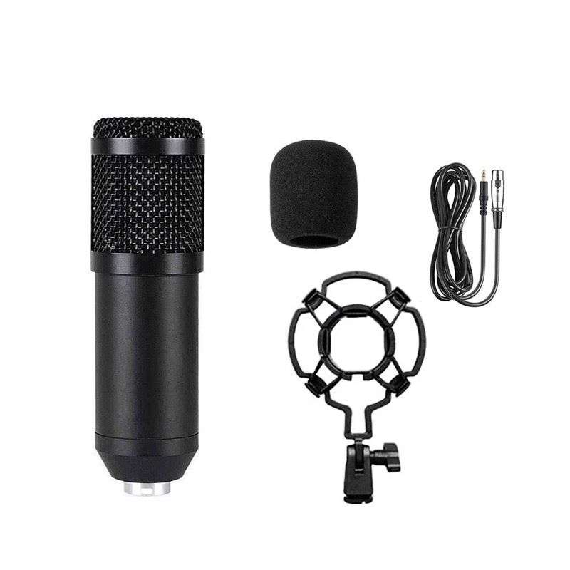 Professional Recording Microphone Stand - Complete Set