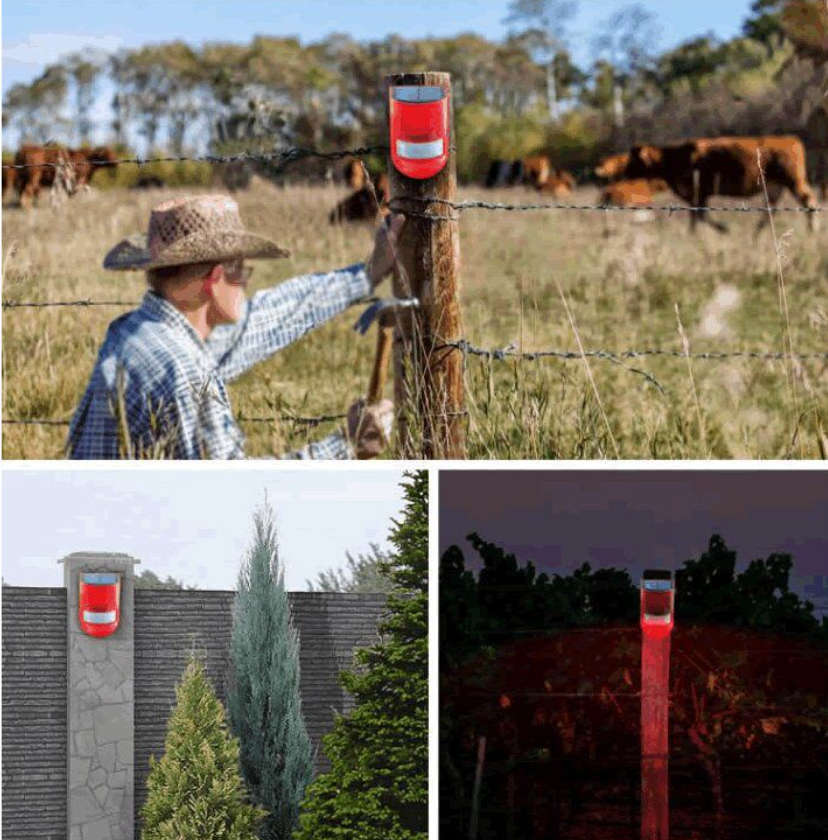 Solar Motion Sensor Light with Alarm - 9 Pack