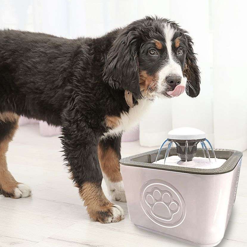 2.5L Automatic Pet Water Fountain