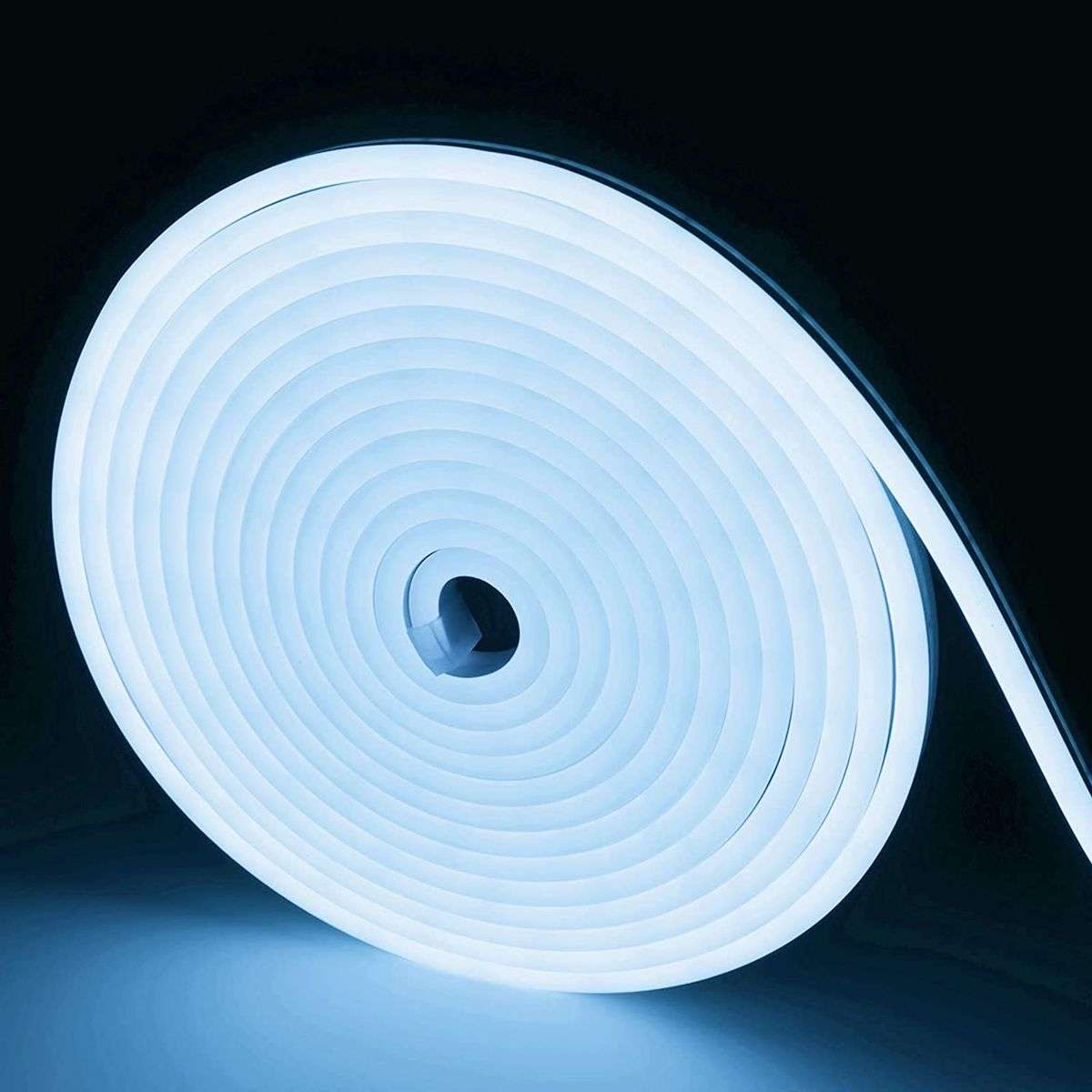 12V 5M Neon LED Strip Light with power supply