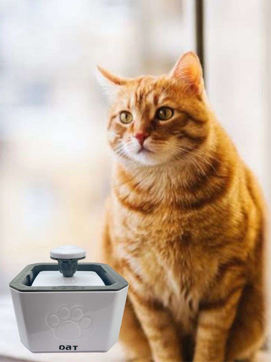 2.5L cat and dog Water Fountain