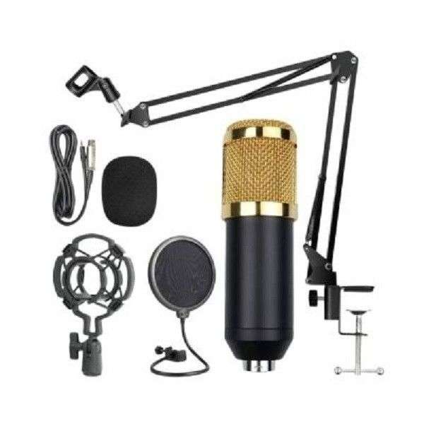 Professional Condenser Microphone Set - M-800