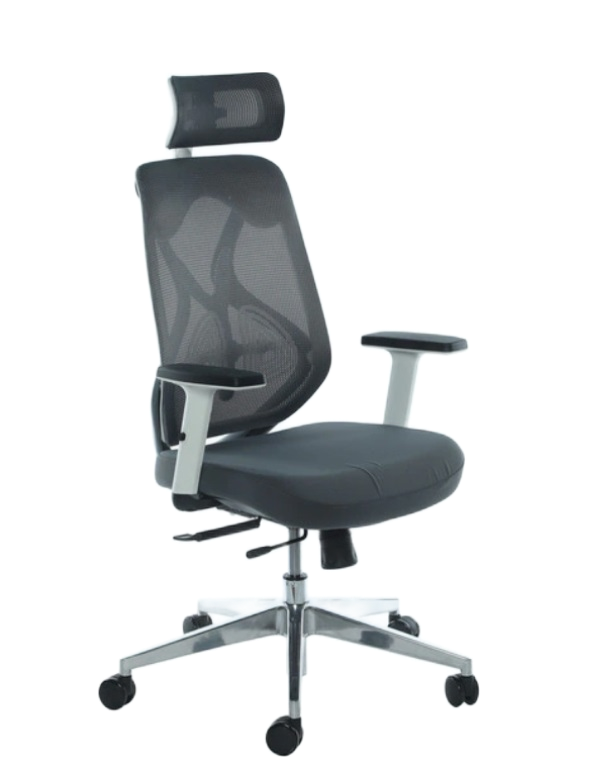 Office Chairs - Ergonomic Executive Mesh with Headrest