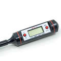 Digital Thermometer