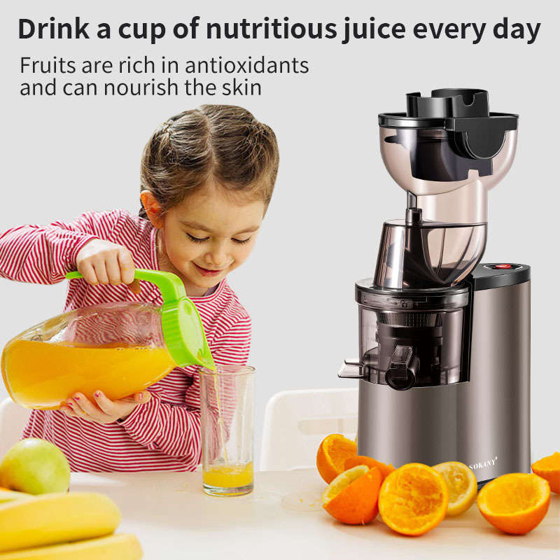 SOKANY SK-27 Juicer with High Juice Yield and Slow Pressing