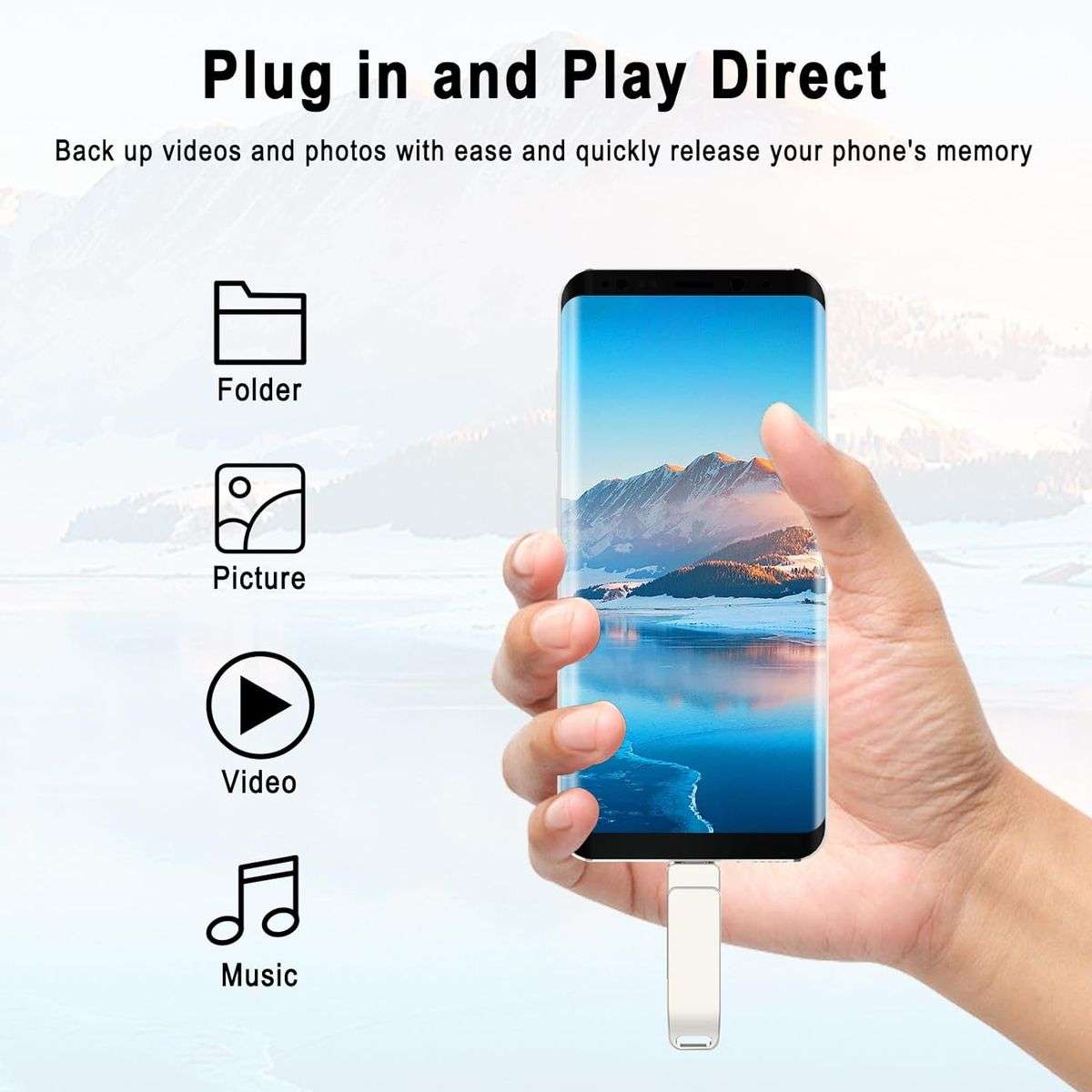 BezosMax 256GB Dual Interface Flash Drive USB 3.0 /Type-C 2 in 1 High Speed Flash Memory