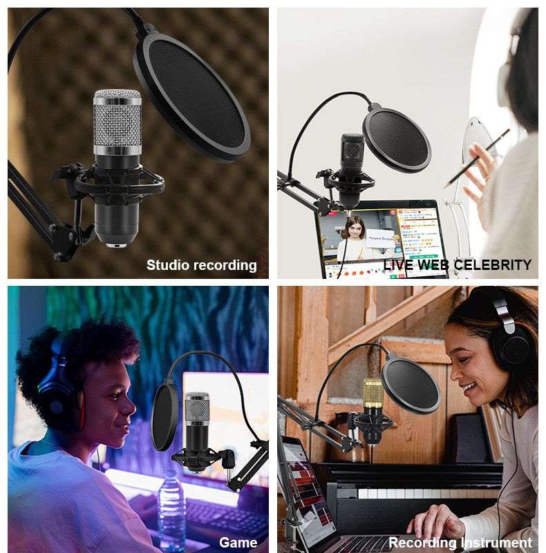 Professional Recording Microphone Stand - Complete Set