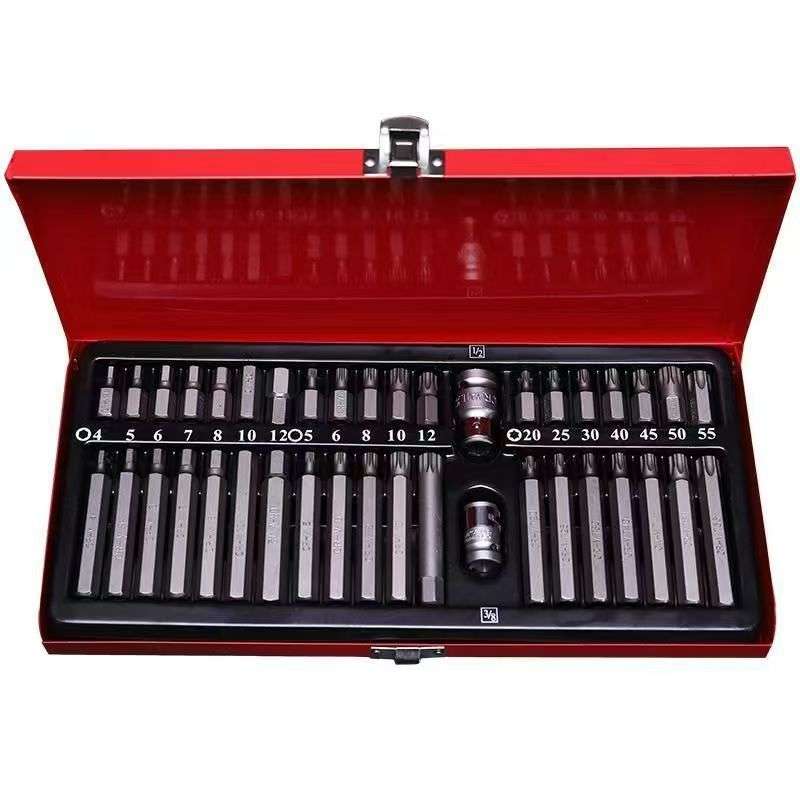 40-Piece Professional Chrome Vanadium Bit Set