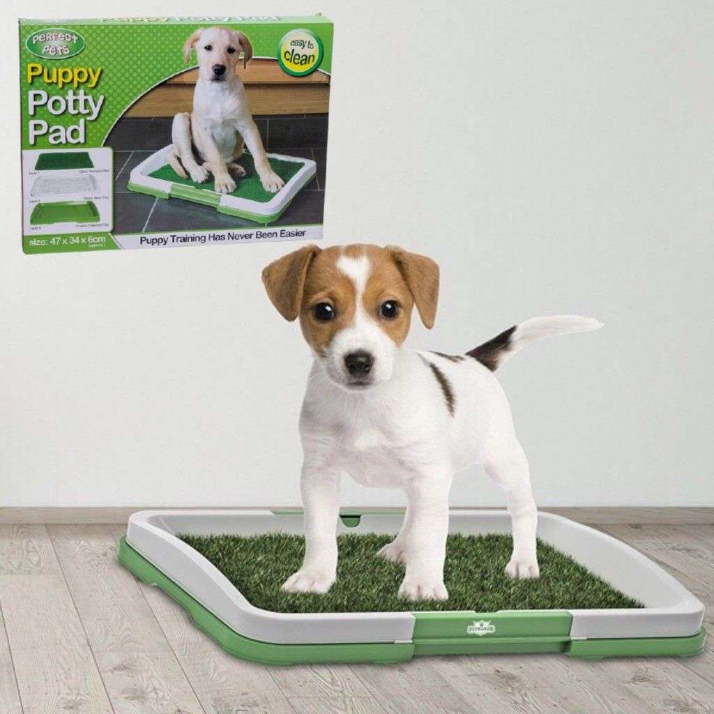 Puppy Potty Pad