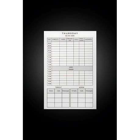 The Professionals Planner 2025 Daily Organizer & Productivity Journal