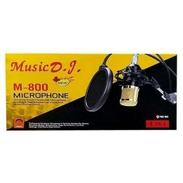 Professional Condenser Microphone Set - M-800