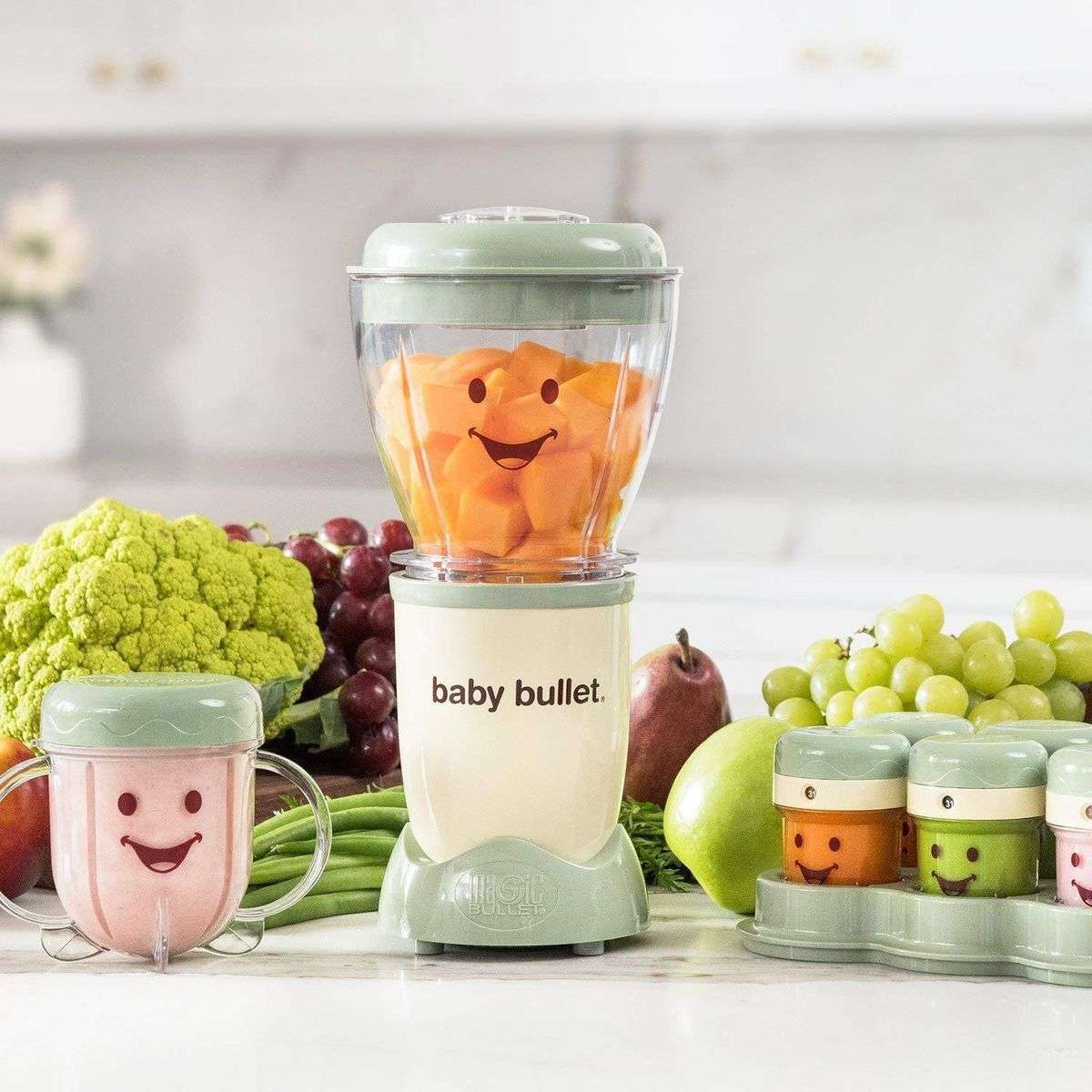 20 Piece Set Baby Bullet Mini Blender
