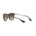 Ray-Ban Erika RB4171 865/13 54 Sunglasses