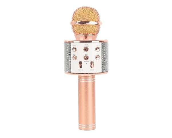 Everlotus Wireless Karaoke Microphone