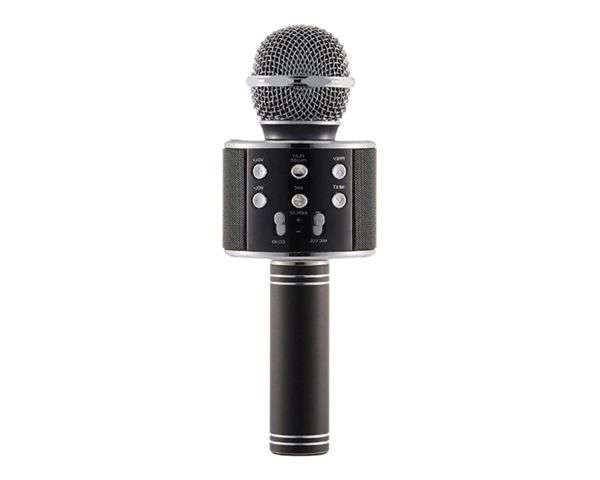 Everlotus Wireless Karaoke Microphone