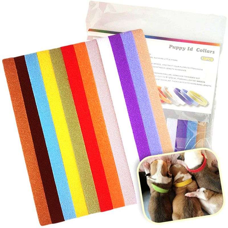 DHAO-12 Pics Adjustable Hook & Loop Collars in 12 Colors Pet Dogs/Cats - M