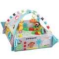 5 in 1 activity gym playmat