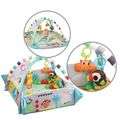 5 in 1 activity gym playmat