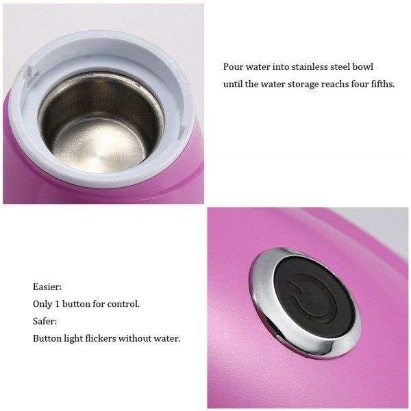 Osenjie Professional Facial Steamer