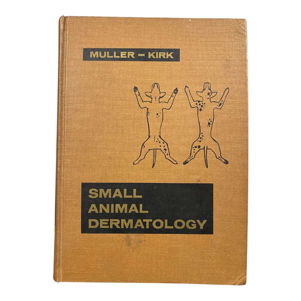 Small Animal Dermatology