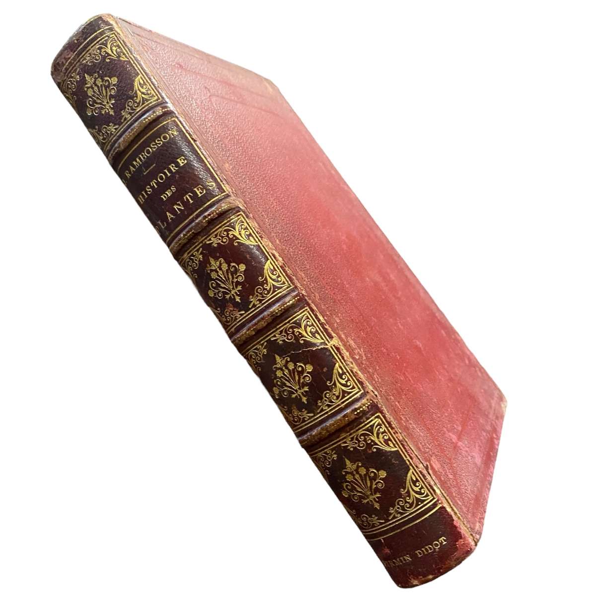 Histoire et Légendes des Plantes Utiles et Curieuses