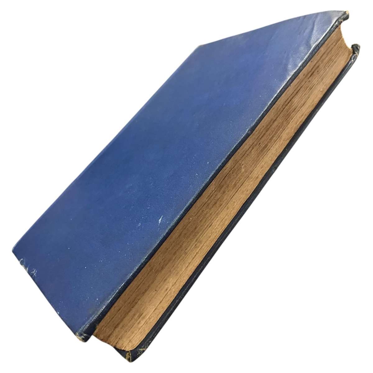 A History of the Ancient Egyptians