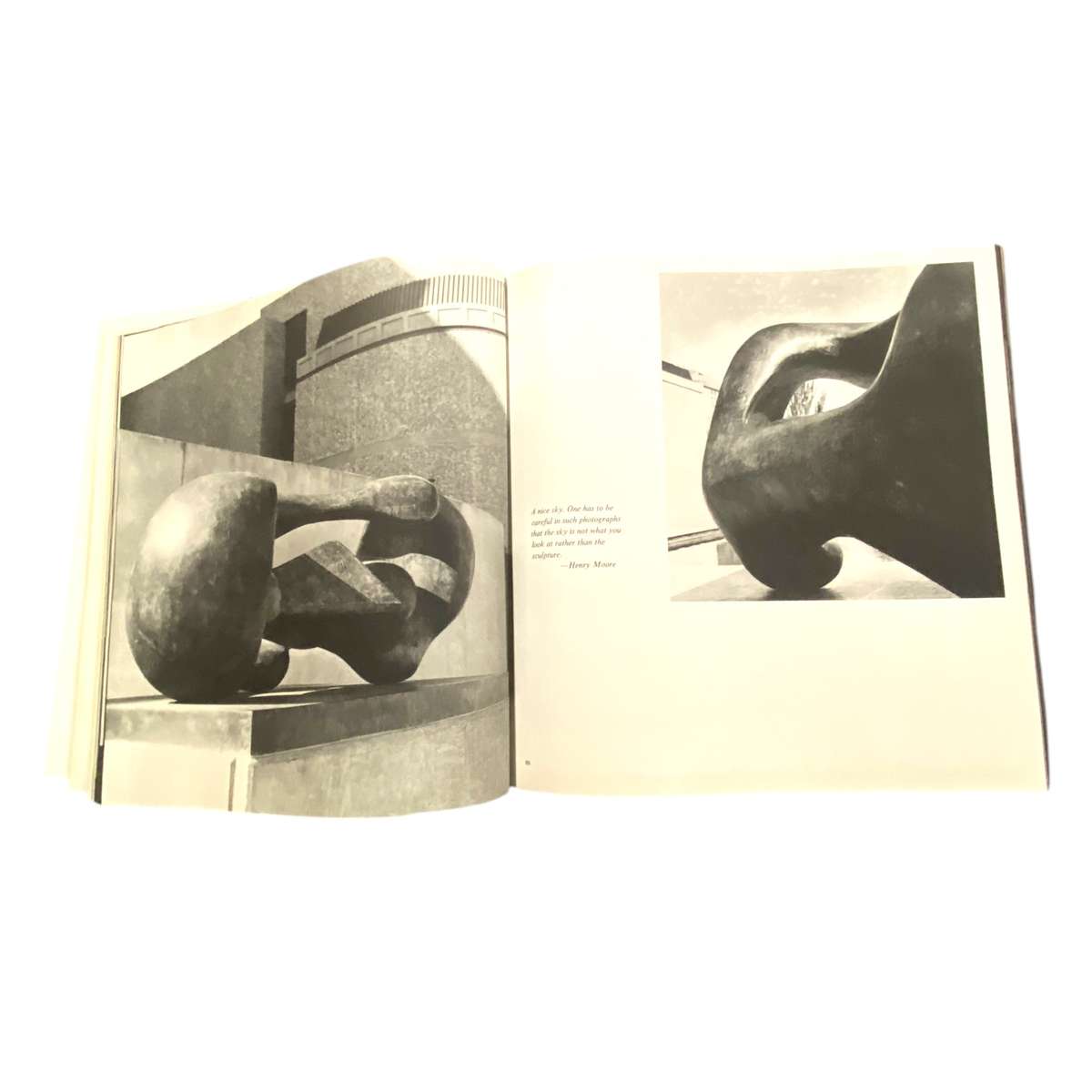 Henry Moore; Sculpture and Environment