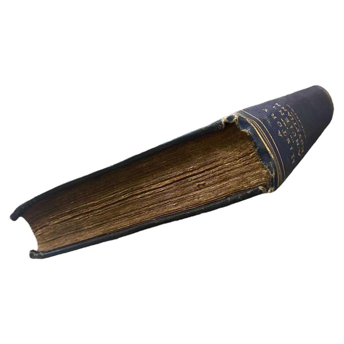 A History of the Ancient Egyptians