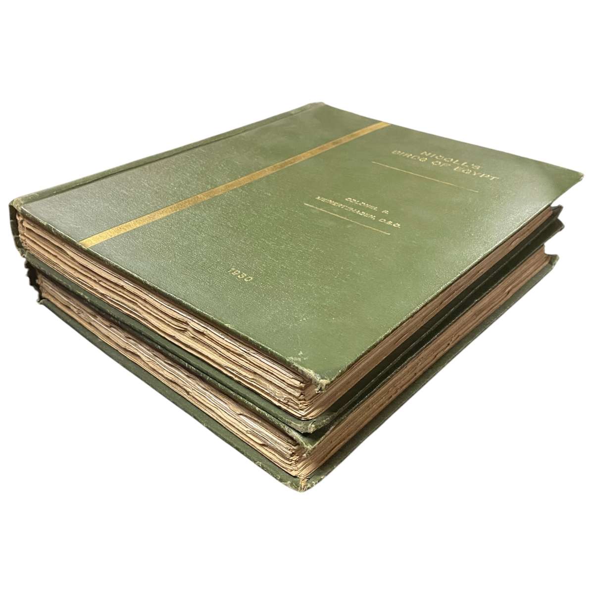 Nicoll's Birds of Egypt Vol. 1 & 2