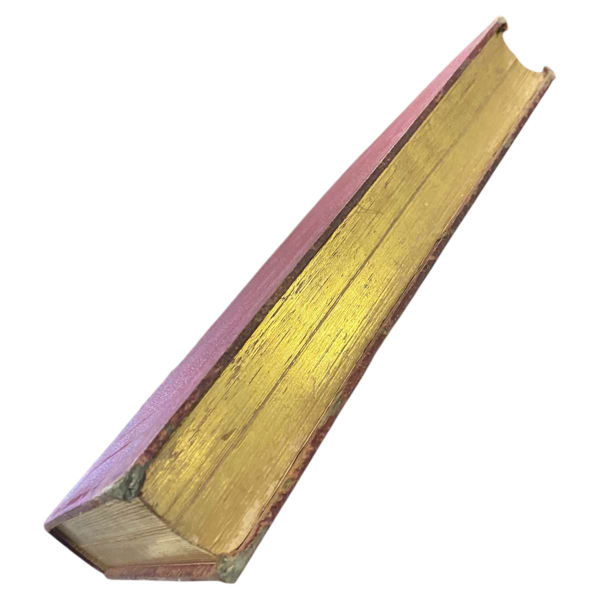 Histoire et Légendes des Plantes Utiles et Curieuses