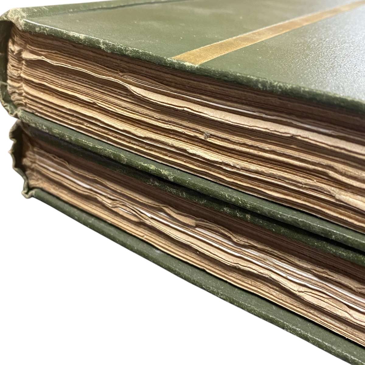 Nicoll's Birds of Egypt Vol. 1 & 2