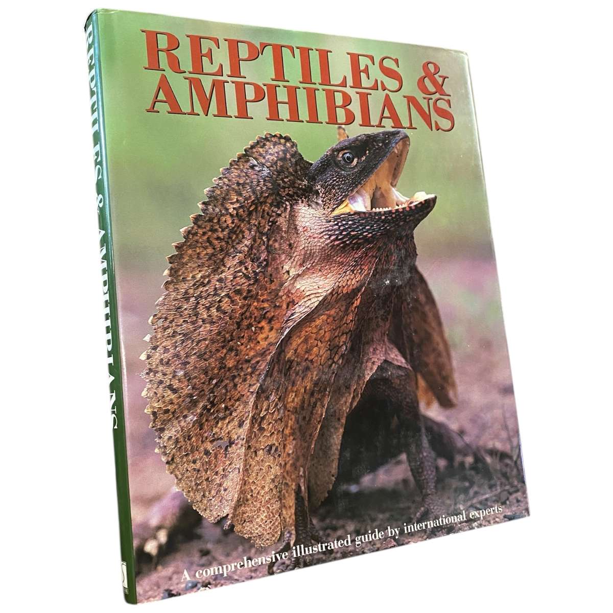 Reptiles and Amphibians