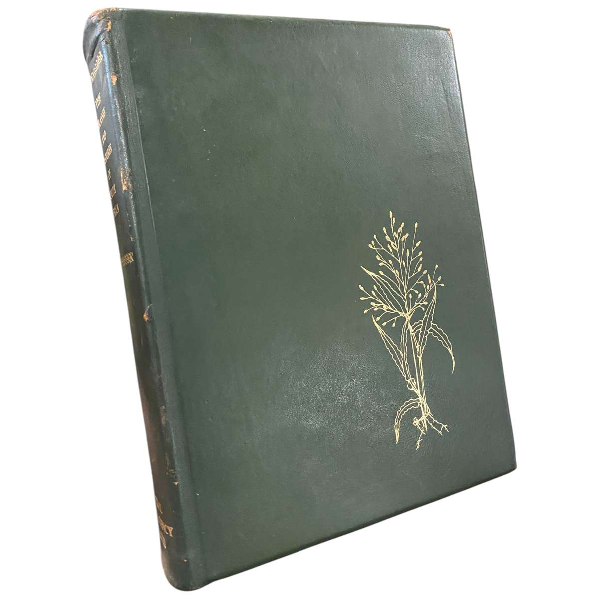 The Grasses and Pastures of South Africa (Subscribers Edition)