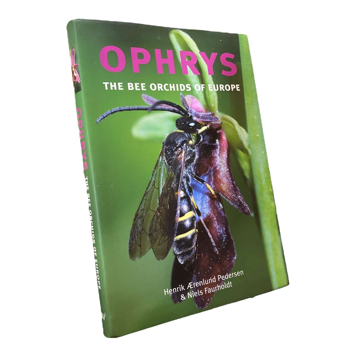 Ophrys; The Bee Orchids of Europe