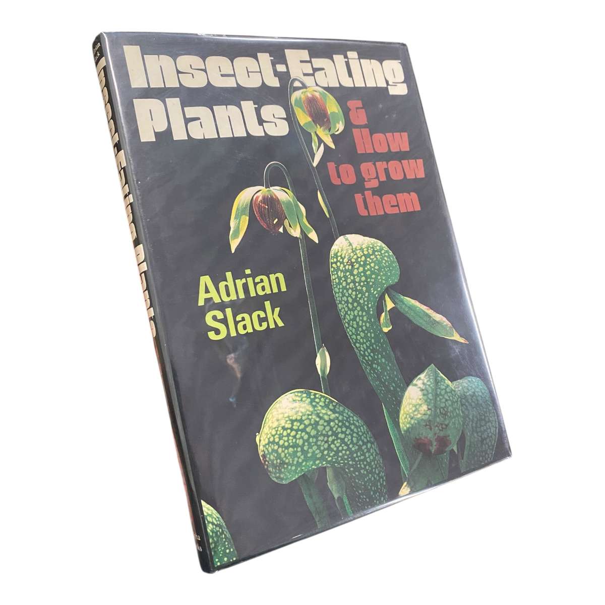 Insect-Eating Plants and How to Grow Them
