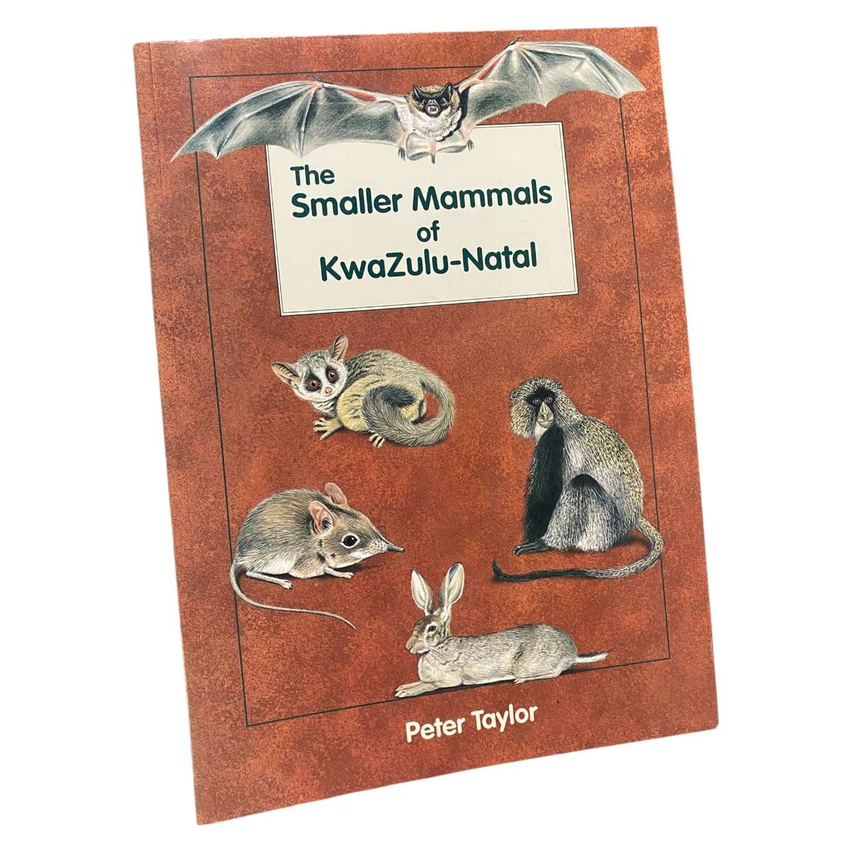 The Smaller Mammals of KwaZulu-Natal