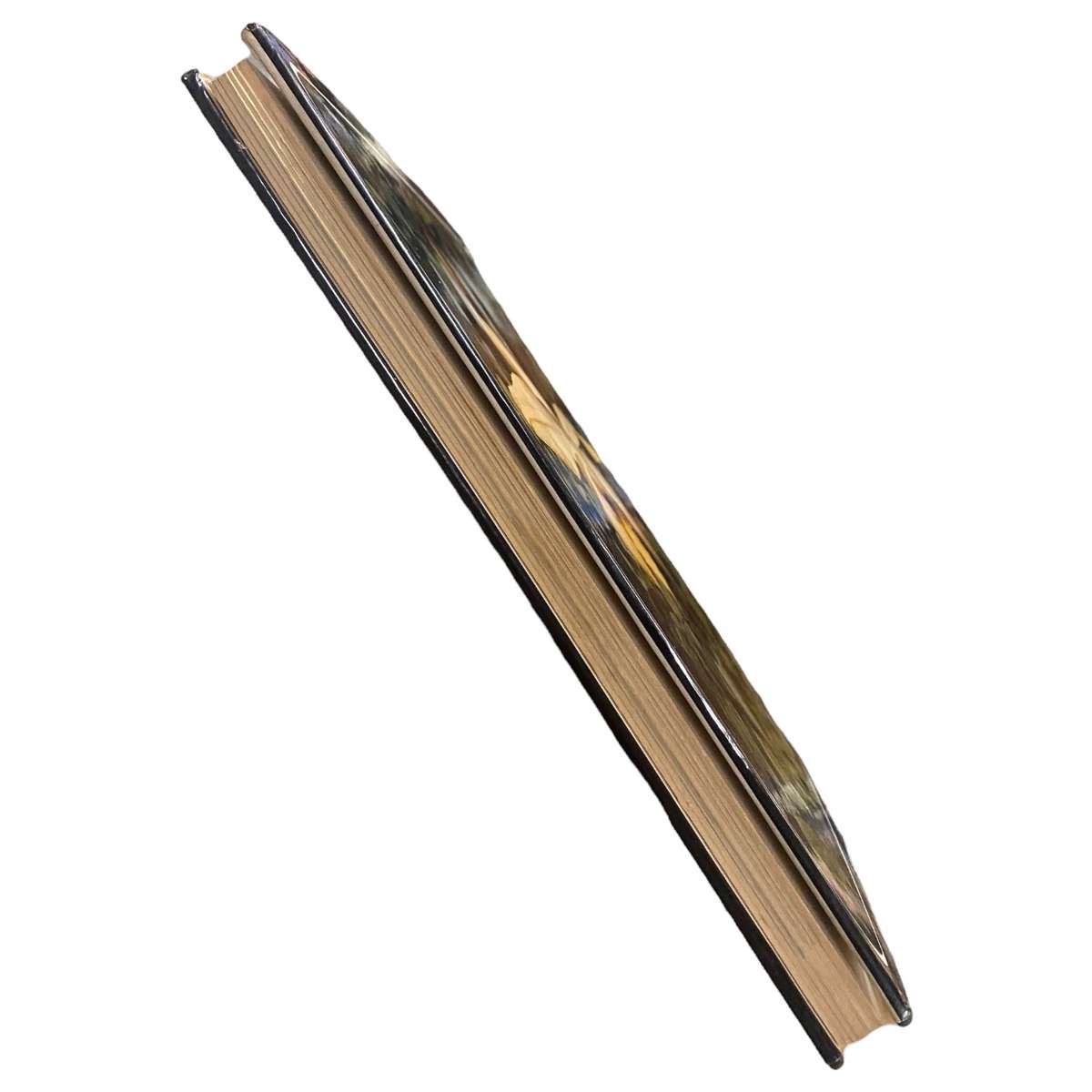 Orchids of Tropical Africa